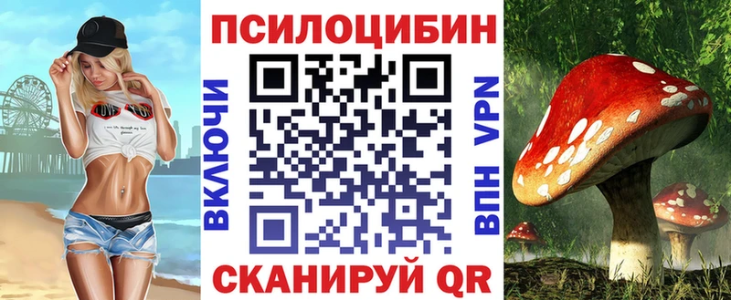 Купить  Димитровград  Галлюциногенные грибы Cubensis 